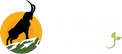 AMP Herbals - Home